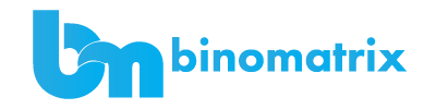 BinoMatrix Logo